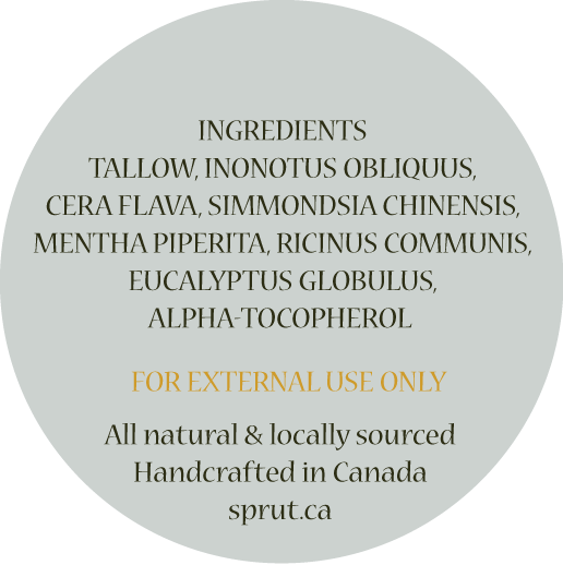 Protective Lip Balm (15ml) $7.00